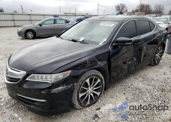 19UUB1F33FA012361: 66020102