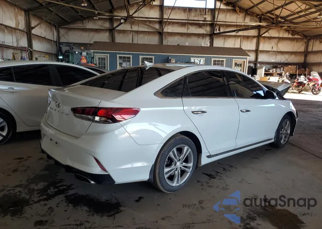 5NPE34AF6KH758809: 52417984