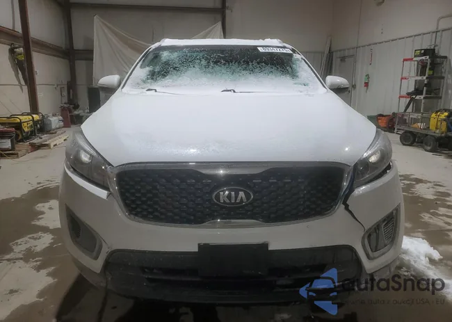 5XYPG4A39GG144662: 89347275