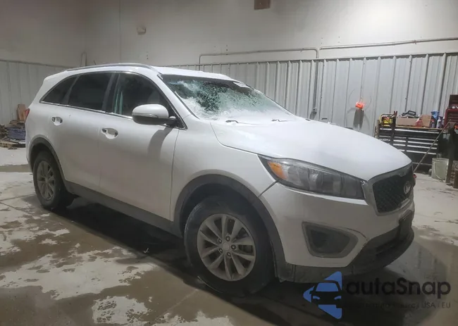 5XYPG4A39GG144662: 89347275