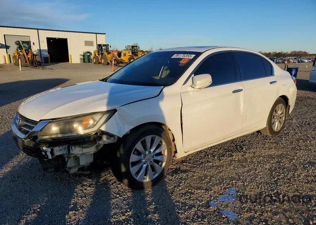 1HGCR3F84DA017516: 99175355