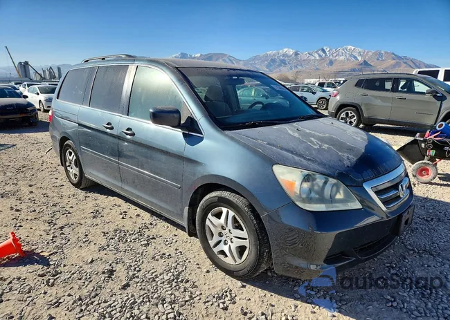 5FNRL38496B096941: 73549655