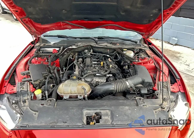 1FATP8UH0H5231265: 72685555