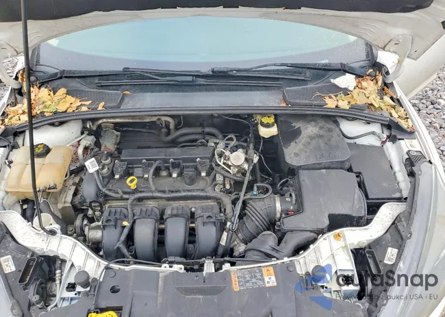 1FADP3H26HL249004: 99873155