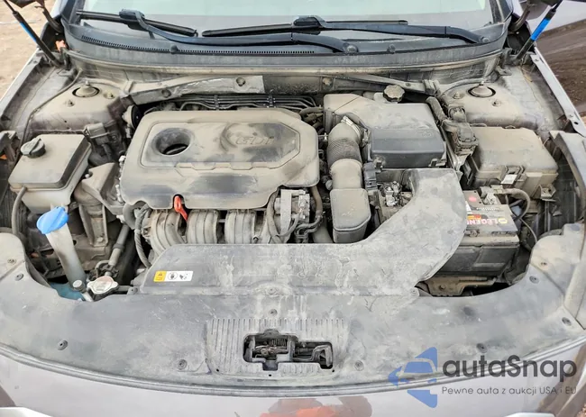 5NPE24AF0FH226190: 72417205