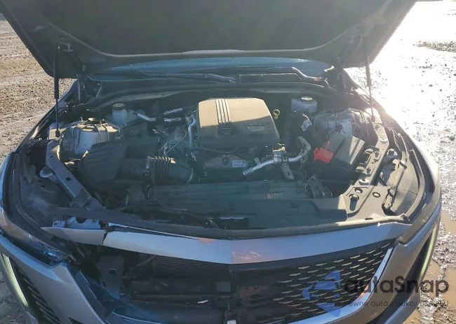 1G6DX5RK6P0123443: 97799835