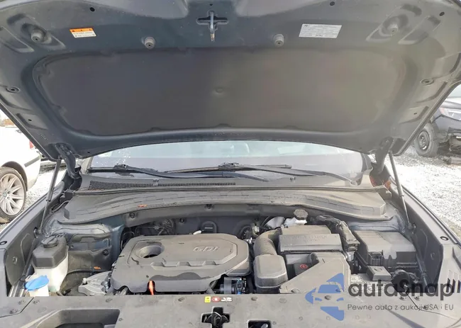 5NMS53AD6LH219918: 99799435