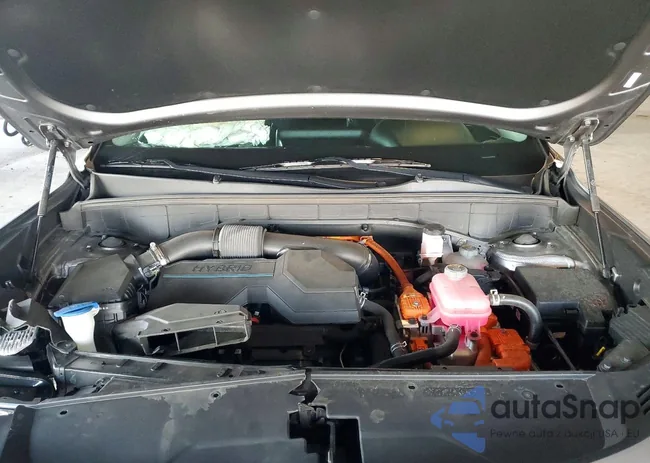 KNDRG4LG2N5113932: 72262945