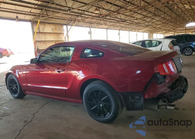 1ZVBP8AMXE5327971: 72705885