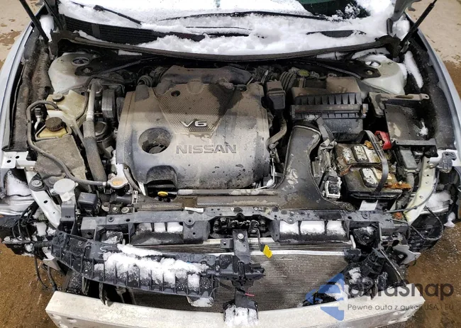 1N4AA6AP9JC376461: 99181895