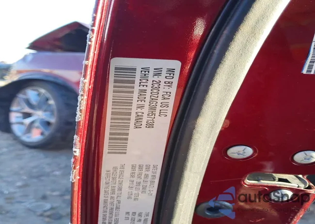 2C3CDZAG3MH571389: 98688505