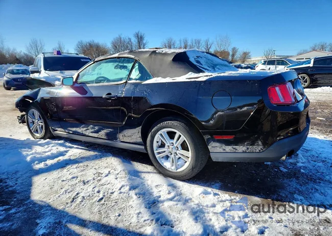 1ZVBP8EN7A5114473: 74786445