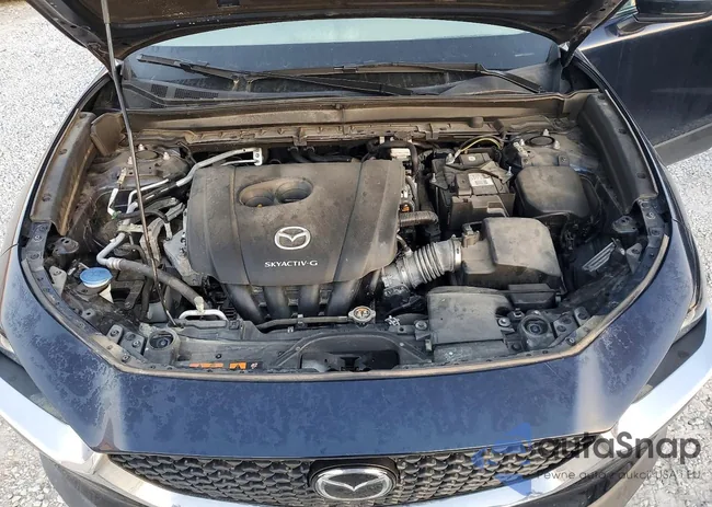 3MVDMACL7LM123795: 99489915