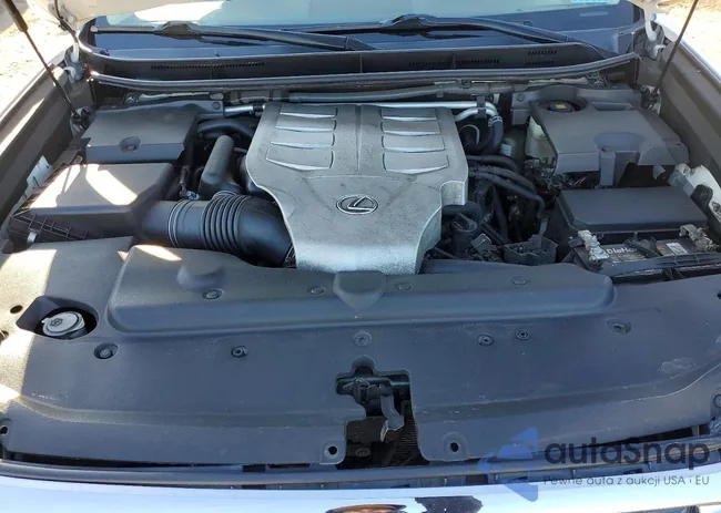 JTJBM7FX5J5206491: 72684655