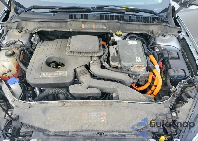 3FA6P0LU3LR102262: 99719615