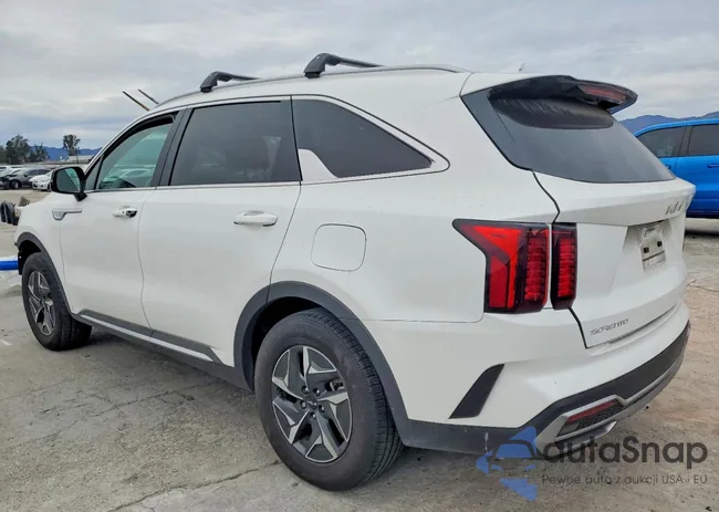 KNDRH4LG5P5175602: 98577265