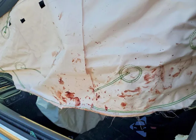 3N1AB7AP1DL740929: 73783895