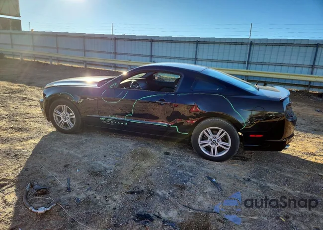 1ZVBP8AM3D5250908: 72562585