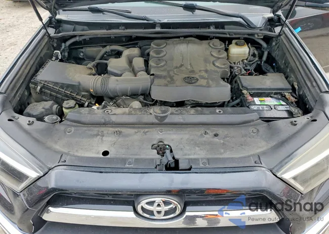 JTEBU5JR9G5381153: 99667745