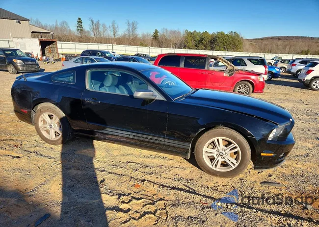 1ZVBP8AM3D5250908: 72562585