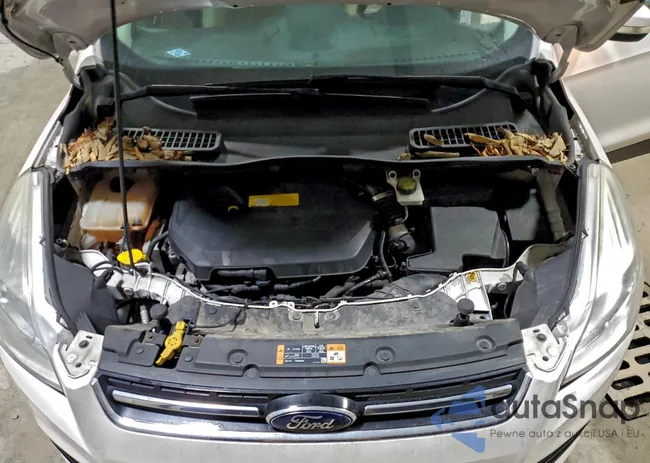 1FMCU0JX3FUB28811: 72265095