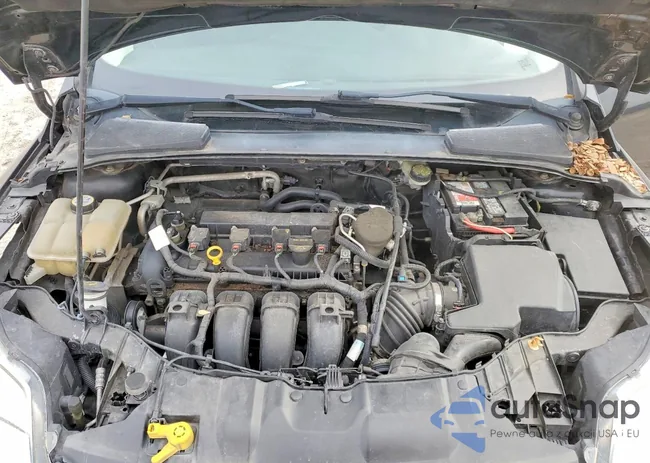 1FADP3F26DL338343: 74974475