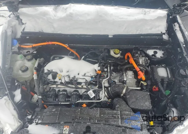 3FTTW8A31RRB49517: 74678795