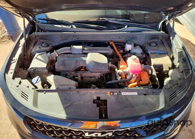 KNDRHDLG9P5176669: 72780355