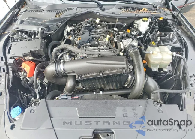 1FA6P8TH3R5114666: 75291585