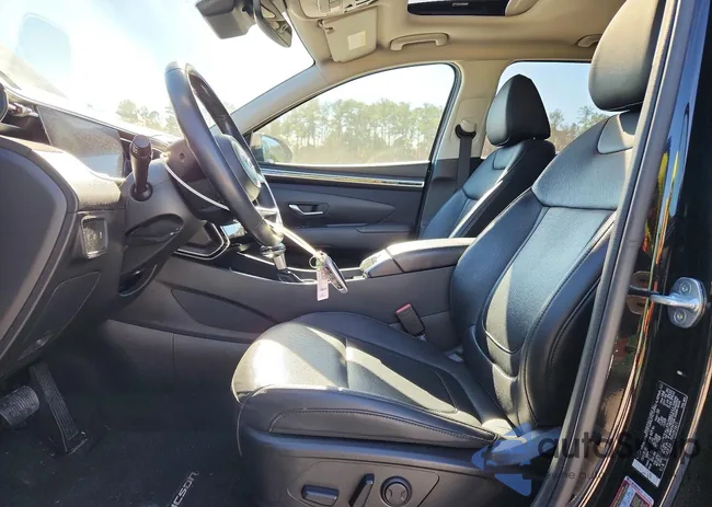 5NMJF3AE2PH193471: 99055065