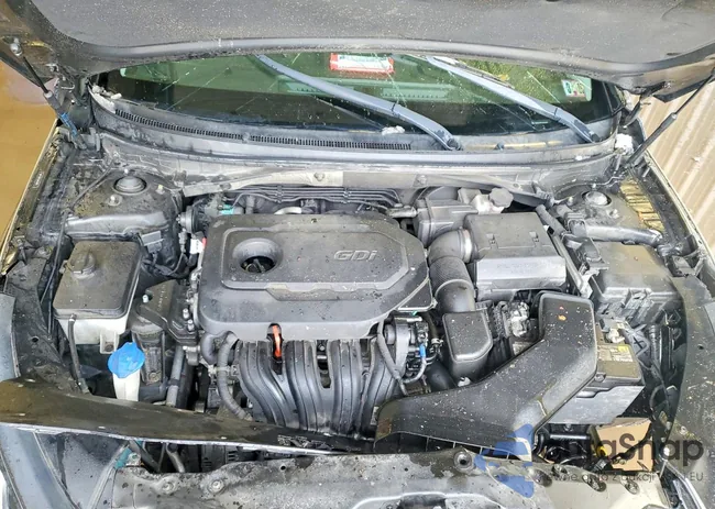 5NPE24AFXJH653613: 75102785