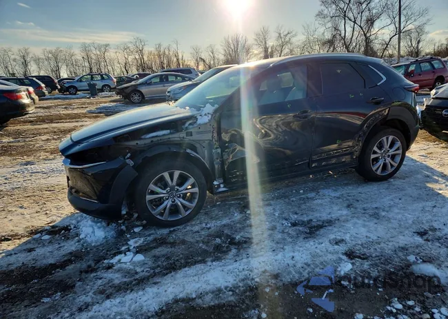 3MVDMBDM0MM219444: 74343985