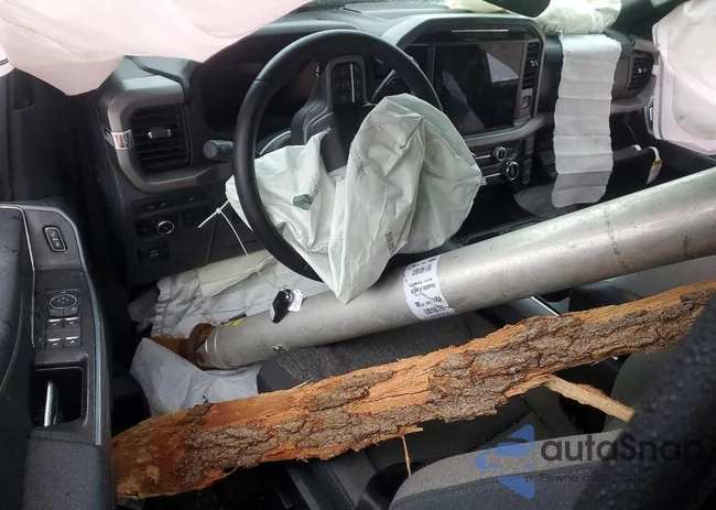 1FTEW3LP9RFA38092: 99303885