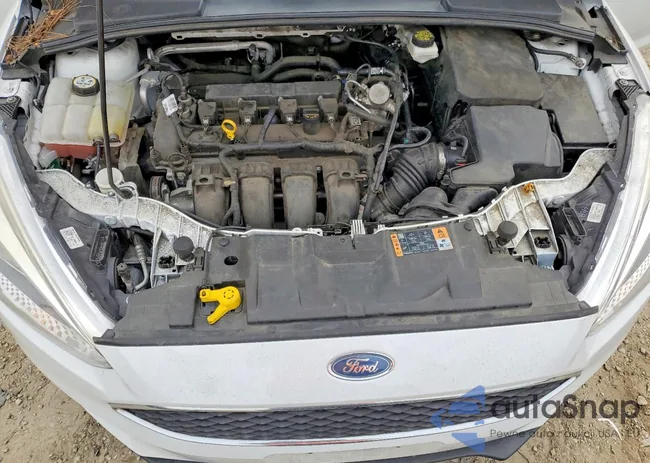 1FADP3K29JL251053: 74247905