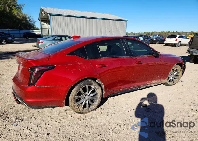 1G6DP5RKXL0136917: 98768365