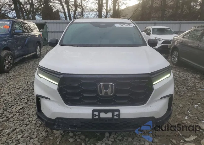 5FNYG1H99SB025765: 96784955