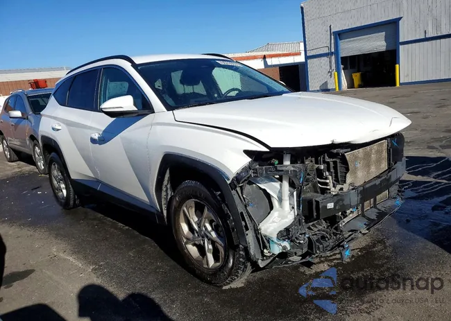 5NMJBCAE2PH208711: 99485565