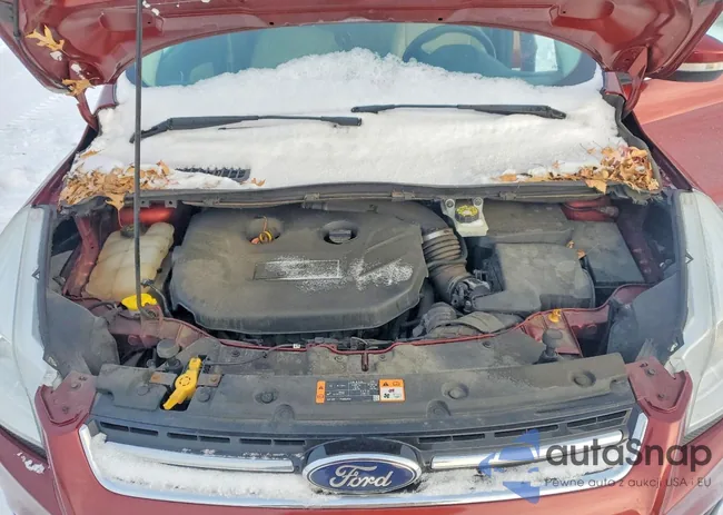 1FMCU0J94FUB04423: 99469995