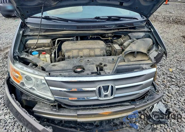 5FNRL5H64CB019466: 73022745