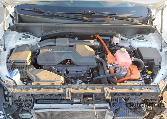 KNDRG4LG3N5113485: 99294055