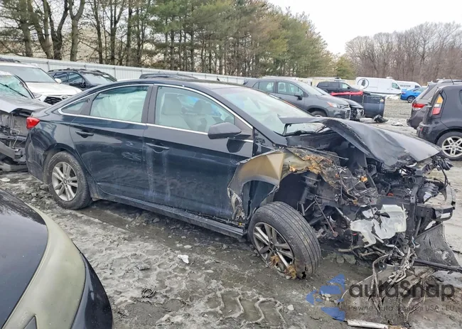 5NPE24AF5HH589748: 74138935