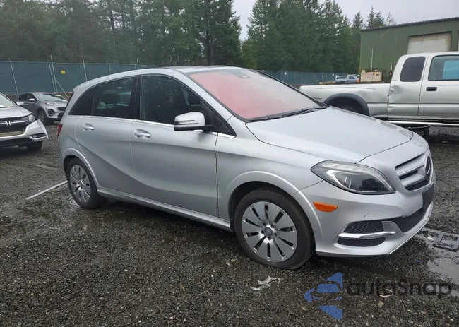 WDDVP9AB9GJ009408: 98699935