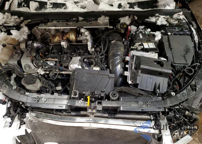 W1K5J5DB2MN202980: 74058205