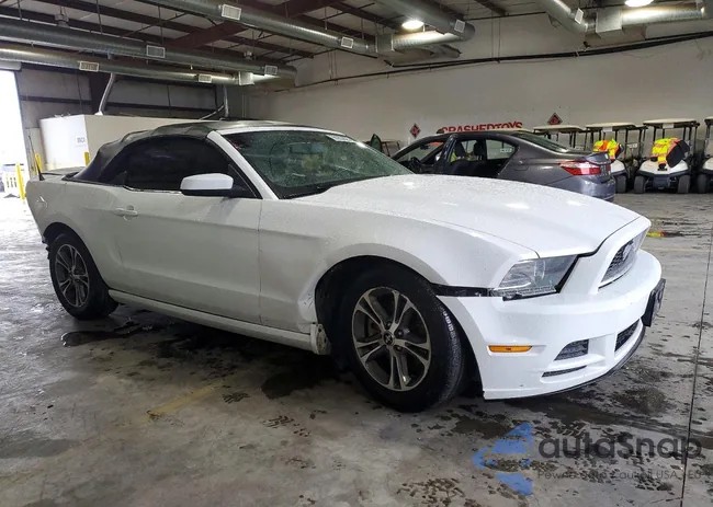 1ZVBP8EMXE5213222: 98253625