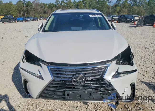 JTJYARBZ6J2096610: 99541825