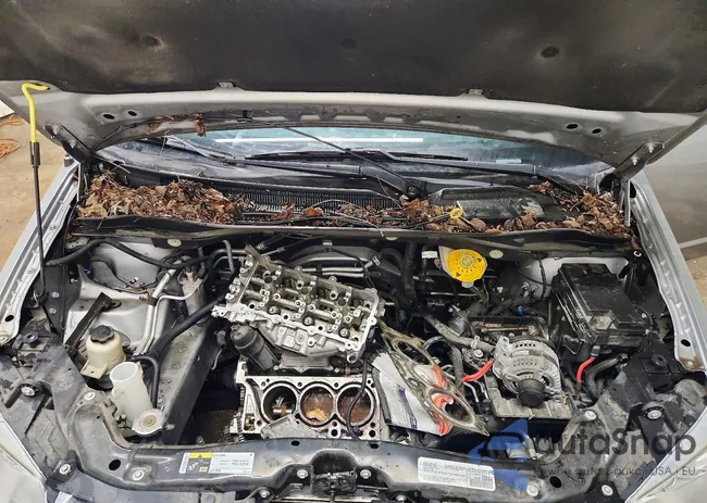 2C4RDGCG4KR724151: 99285435