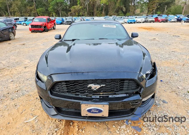 1FA6P8AM3G5302570: 99628845