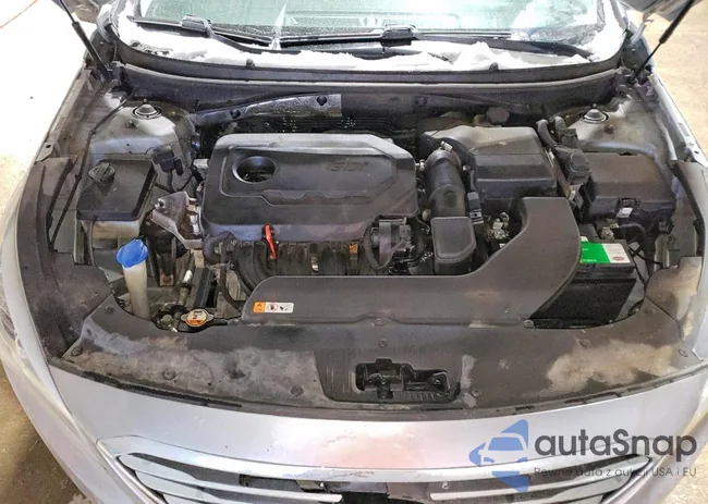 5NPE24AF7FH176064: 74415405