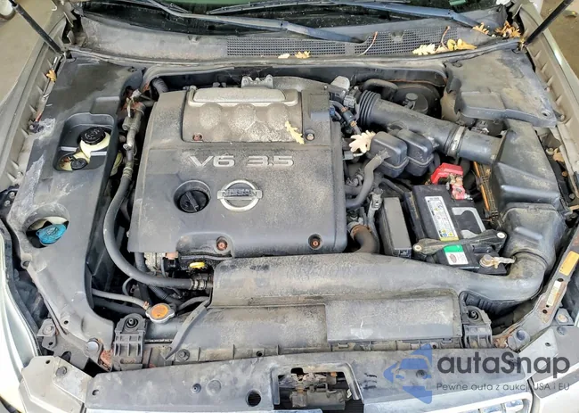 1N4BA41E56C836035: 98437195