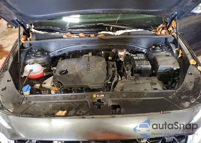 5NMS2DAJ9PH593675: 99103255